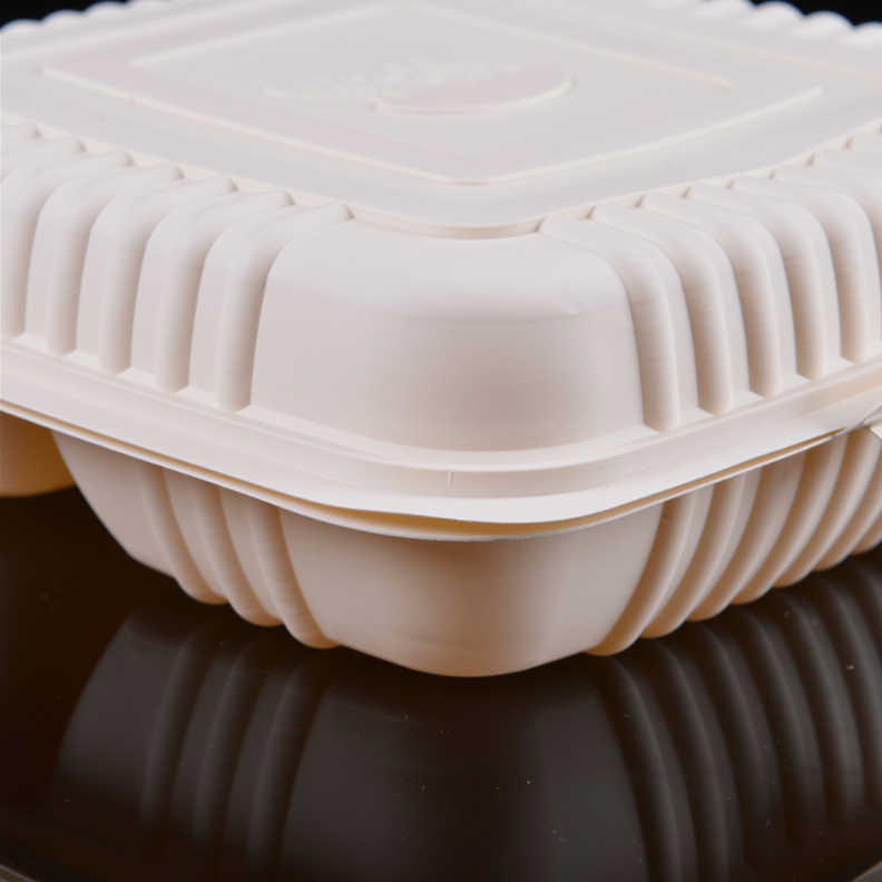 Caja para llevar disponible biodegradable del almuerzo del 100% con 2 compartimentos