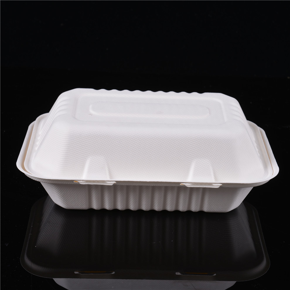 Envase para llevar disponible de la comida de la caña de azúcar de la placa de la caja de la cubierta del bagazo biodegradable de la mejor venta